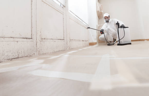 24/7 Emergency Mold Remediation experts in Pitman, NJ