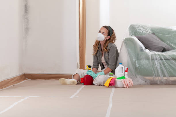 Reliable Mold Remediation contractor in Pitman, NJ by 24 Hour Mold Removal